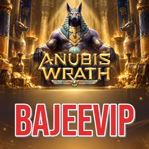 Privacy & Security bajeevip