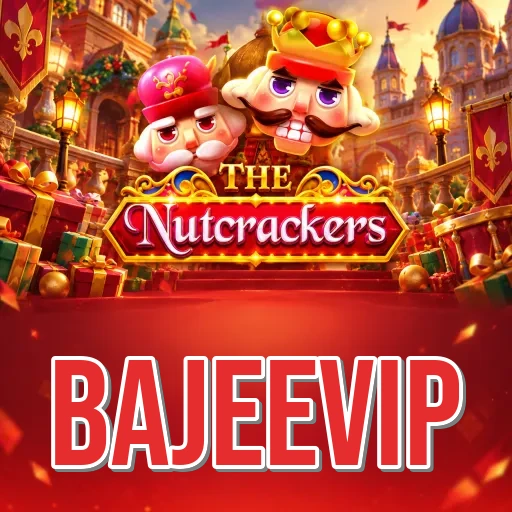 bajeevip Features FAQ